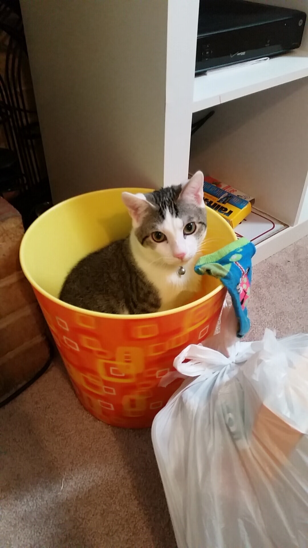 巨兽觉醒，魔术华丽火力全面压制老鹰，班凯罗化身关键先生主宰赛场