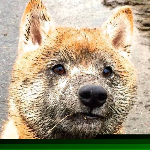 传奇，燃烧在两个不同夜晚