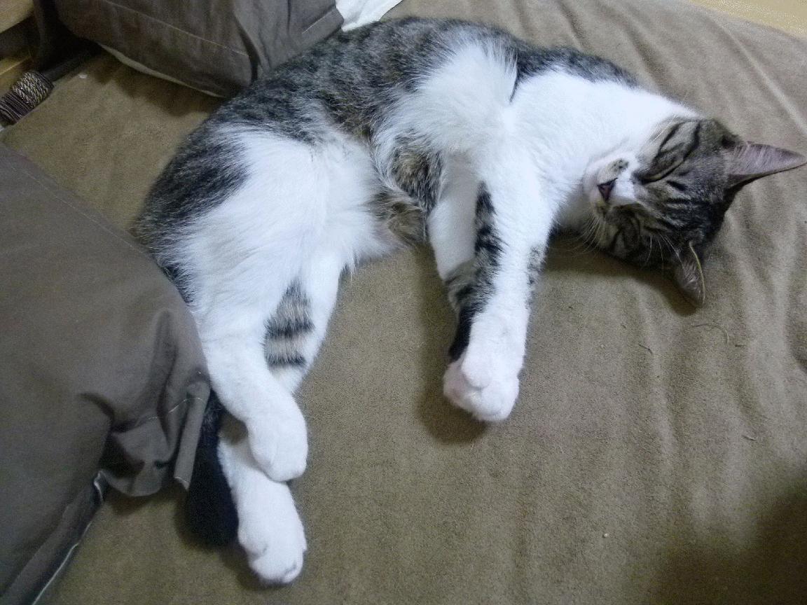 梅西的抢七之夜，大场面先生的永恒传奇