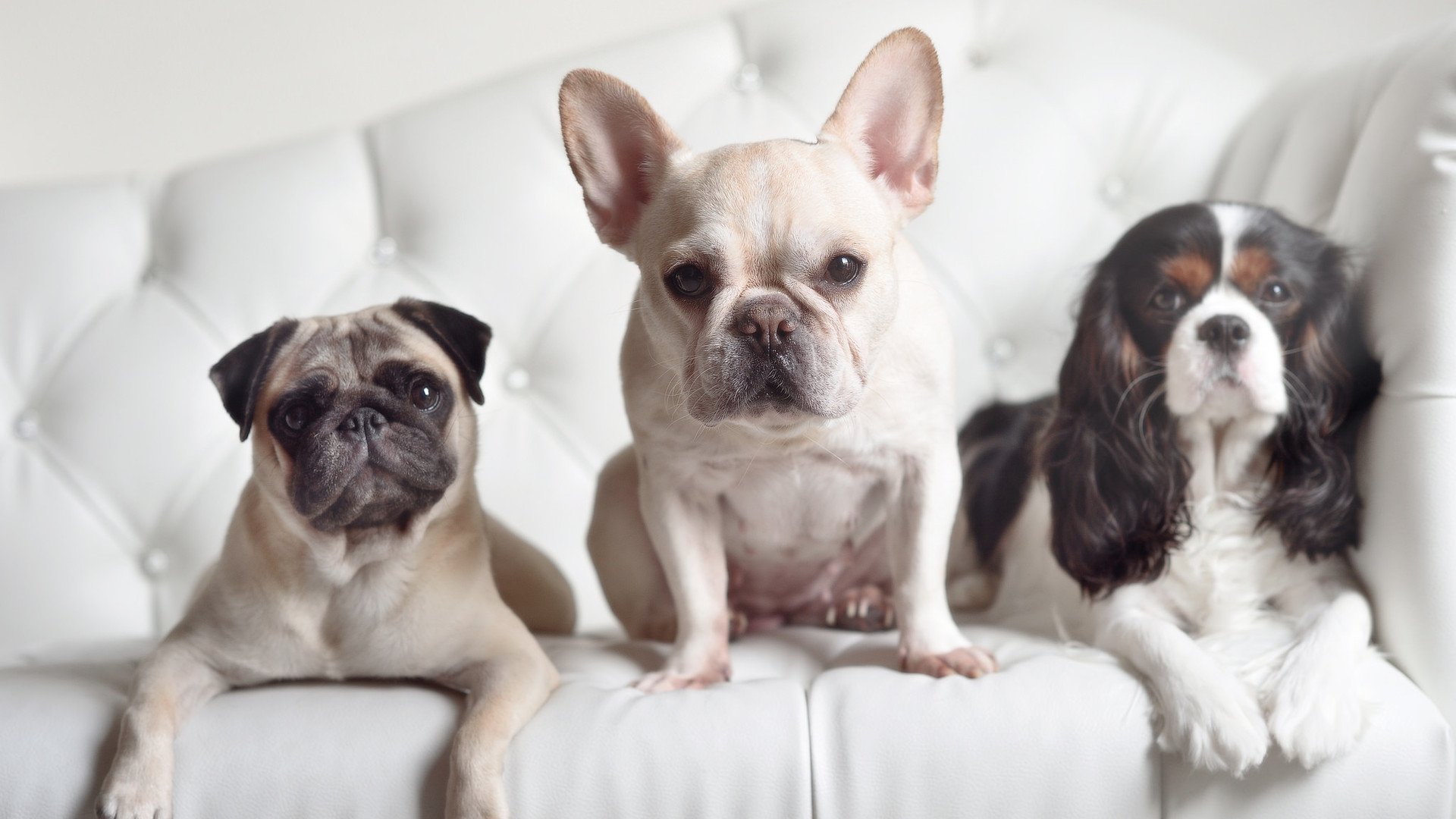 德罗赞的孤星坠落,凯尔特人以联盟最残酷的方式,诠释了现代篮球的终极答案