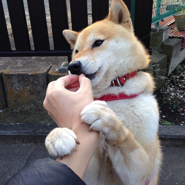 超神辅助!葡萄牙读秒绝杀几内亚,皮克稳定输出全场不掉线