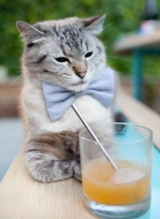 绿茵绝唱与孤胆雄心,那些在深渊边缘起舞的孤勇者