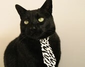 节奏大师卡拉斯科!焦点夜主导逆转,他的脉搏就是全队的脉搏