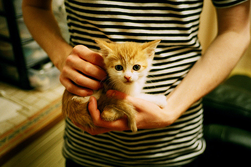 从救赎到巅峰，加克波绝境逢生，爱尔兰血战利物浦双雄