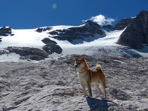 独行侠的绝对天赋与森林狼的绝对体系，现代篮球的两种解法