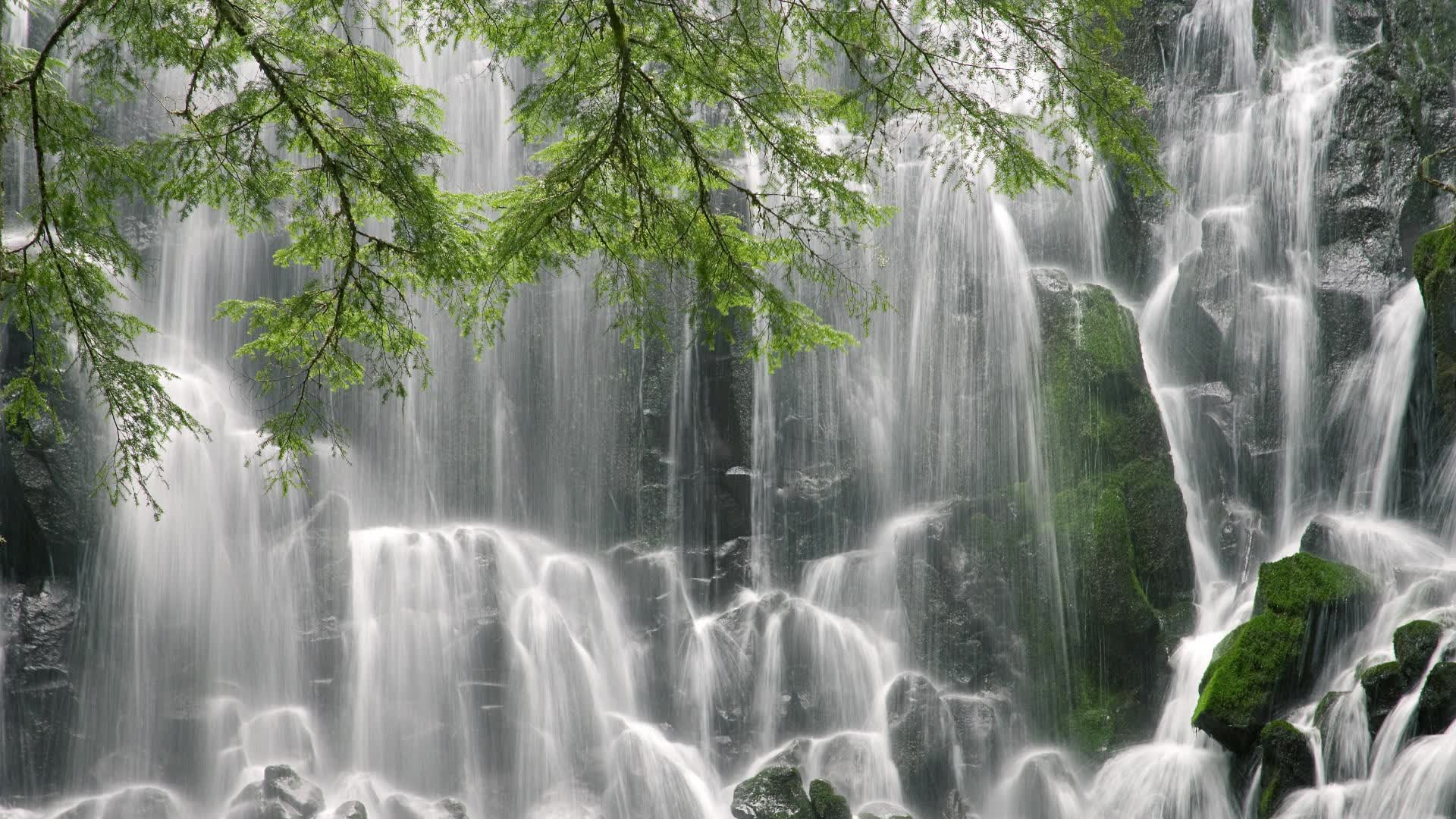 那片沙漠,那场雨,2026,内马尔与他的最后一届世界杯