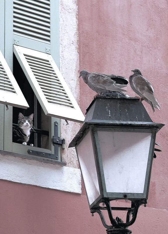福登的西班牙化,一场碾压式胜利如何定义2026世界杯F组关键战的攻守转换美学