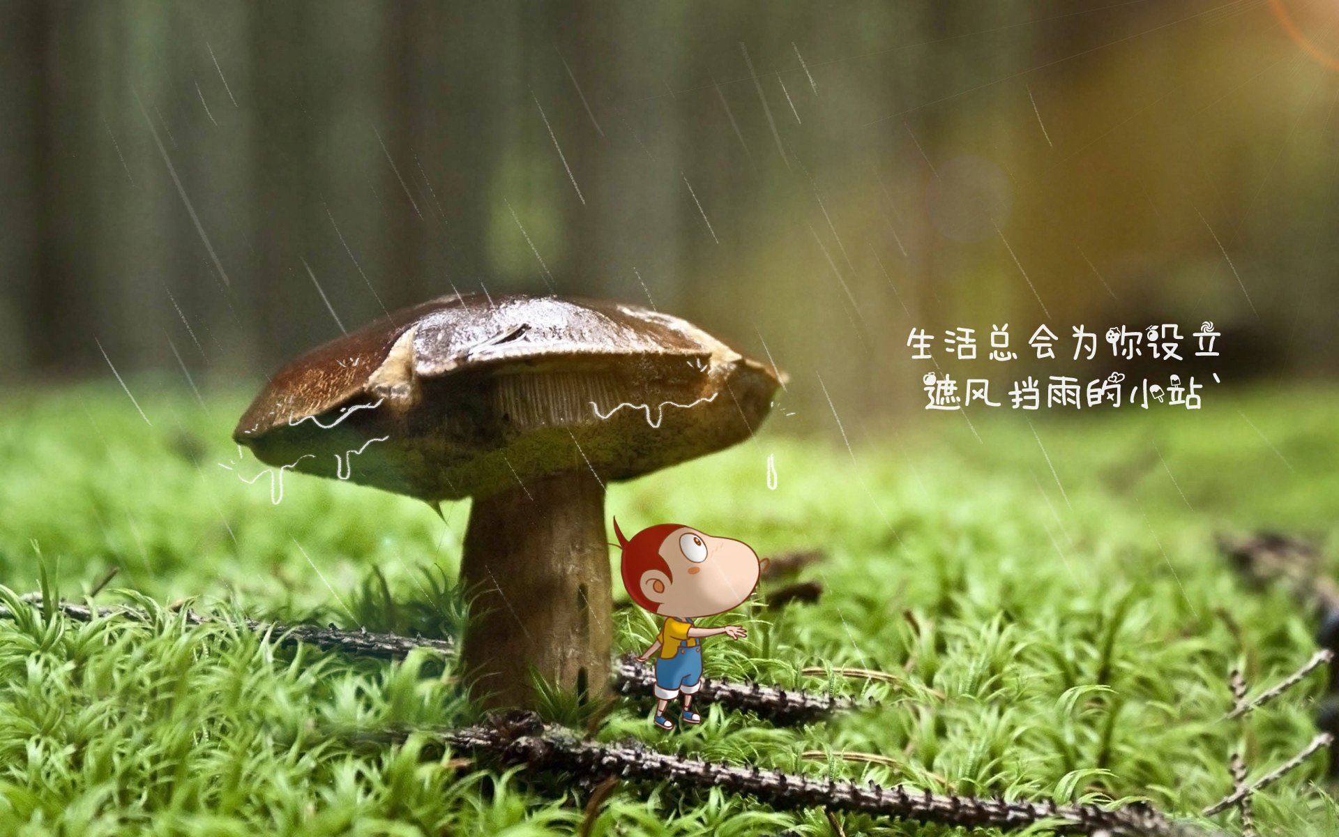 高卢雄鸡折翼,蓝衣军团复兴,罗德里戈引领意大利书写H组唯一传奇