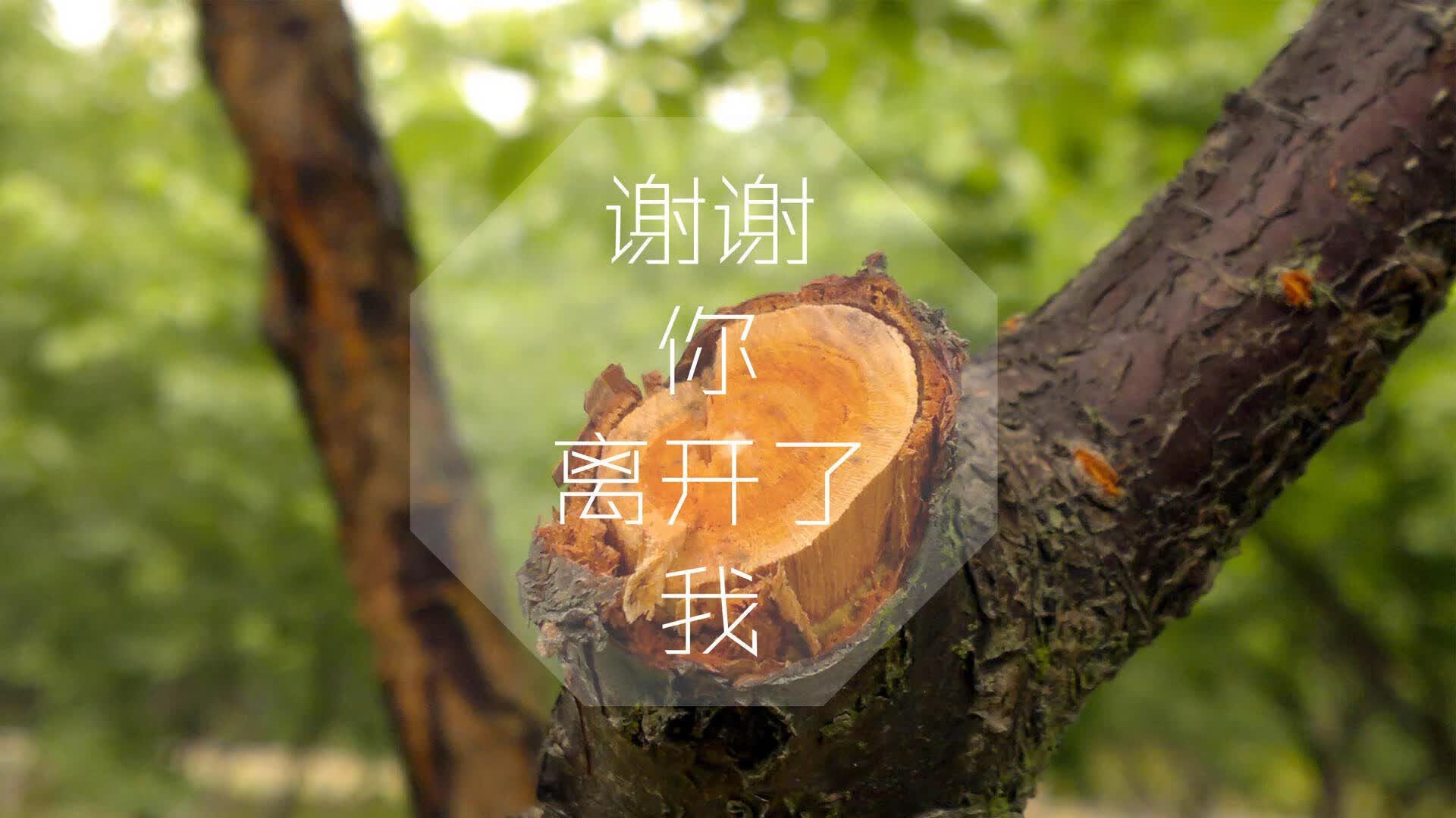 唯一的神话,2026世界杯生死战,福登的逆天改命与日本横扫墨西哥的史诗之夜