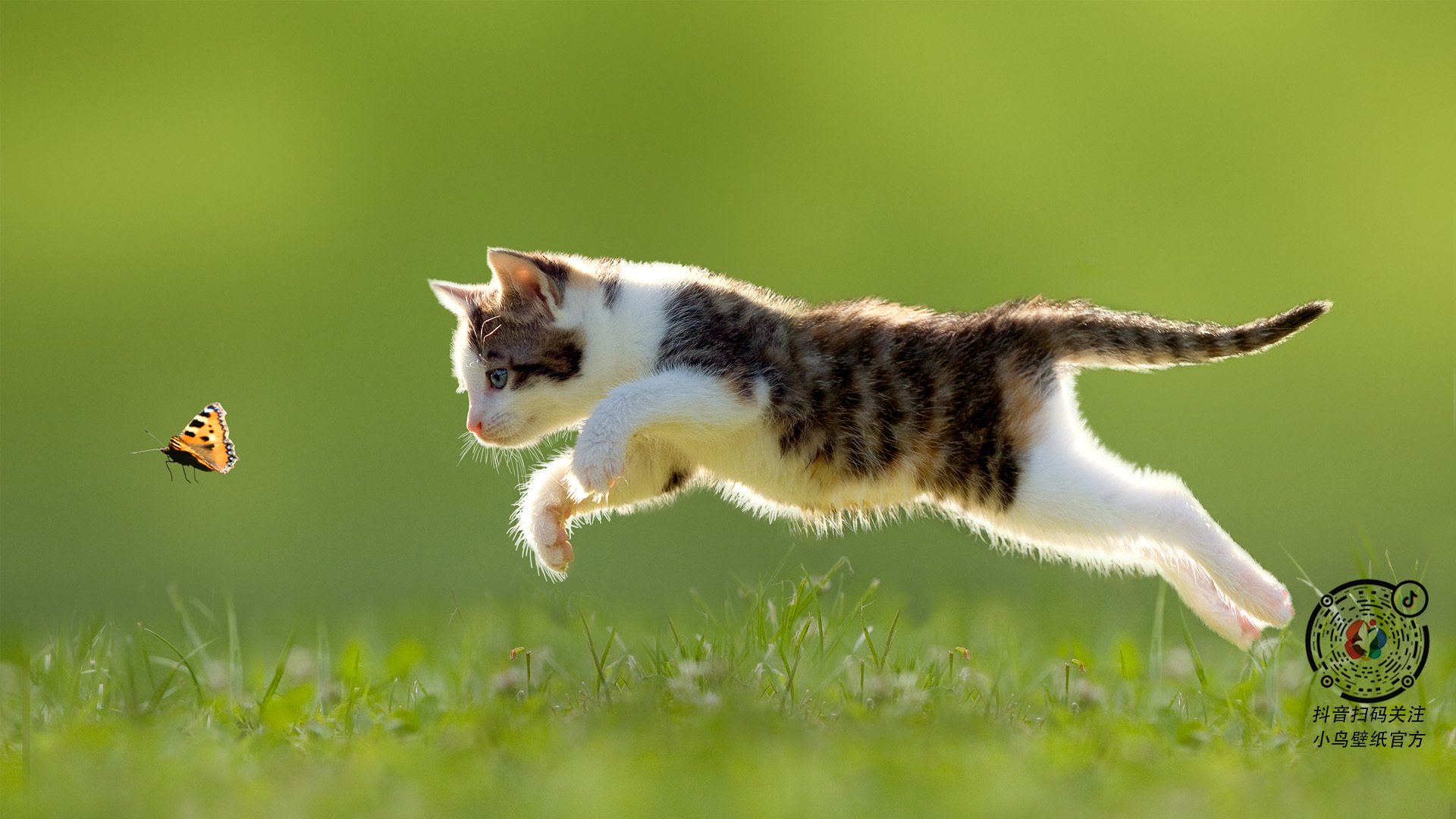首先，是文章的标题